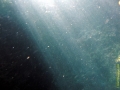 Bild 128 Kopie