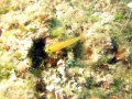 Bild 154 Kopie