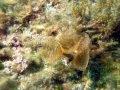 Bild 166 Kopie