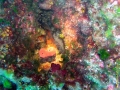 UW1 (13) Kopie