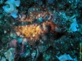 UW1 (16) Kopie