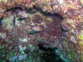 UW1 (18) Kopie