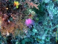 UW1 (5) Kopie