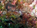 UW1 (9) Kopie