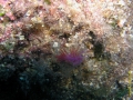 UW3 (8) Kopie