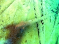 P9060286