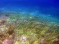 P9060292