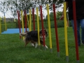 DSC04364